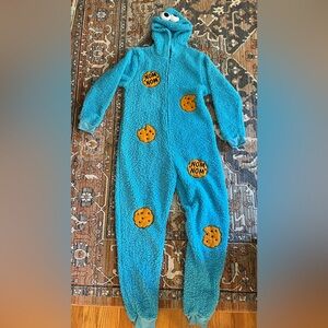 Adult Cookie Monster Costume (Large)